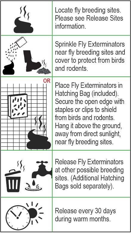 Fly Exterminators - Fly Control