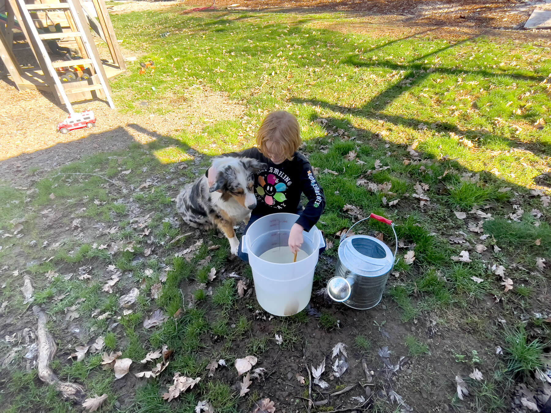 Flea & Soil Pest Exterminator - 10 Million Sc Nematodes in Retail Cup