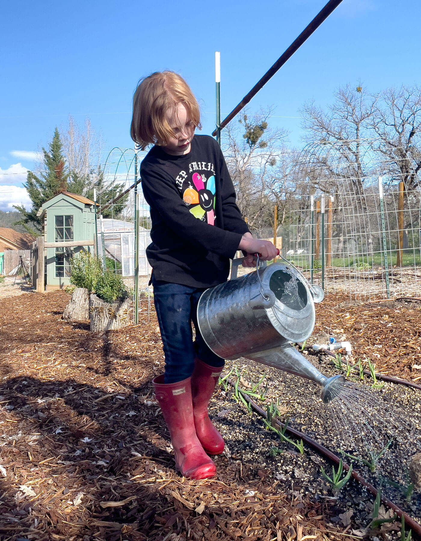 Flea & Soil Pest Exterminator - 10 Million Sc Nematodes in Retail Cup