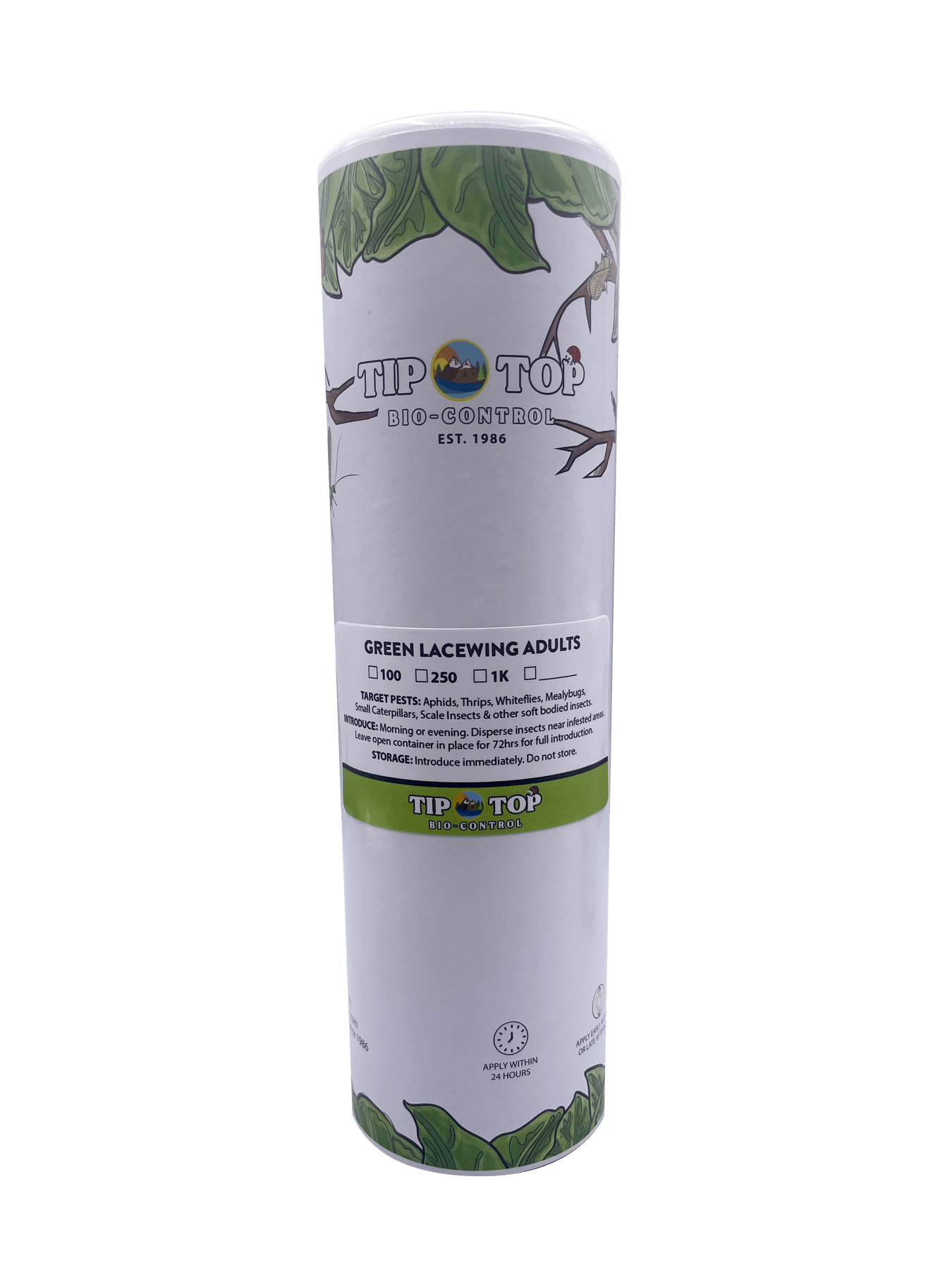 Green Lacewing Adults