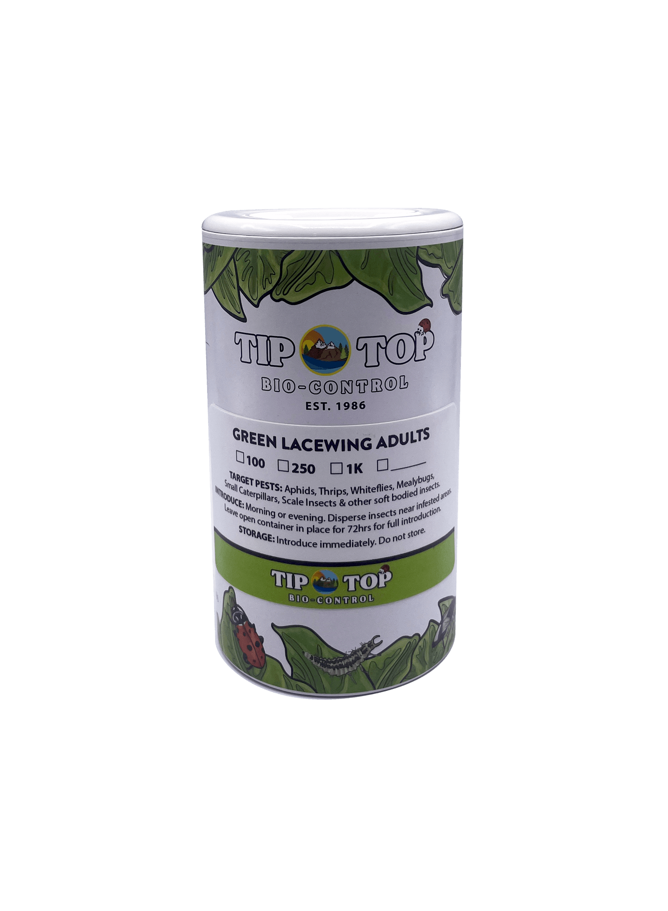 Green Lacewing Adults