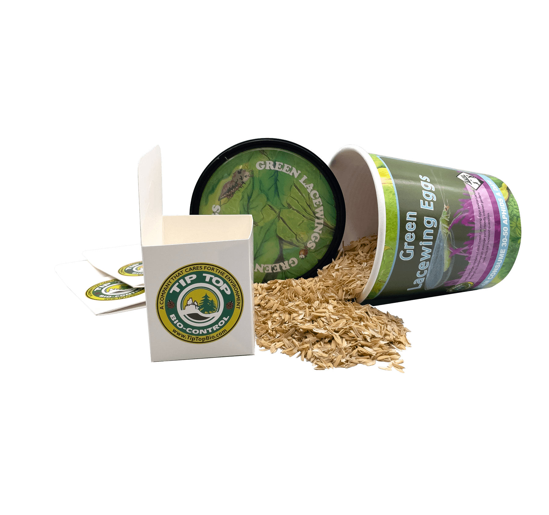 1,000 Green Lacewing Egg in Rice Hulls - Retail Cup