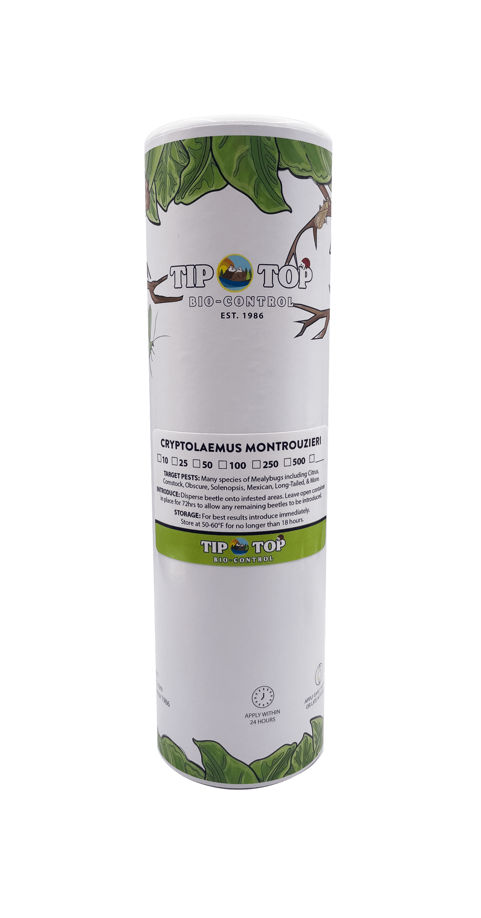 Cryptolaemus montrouzieri - Mealybug Control
