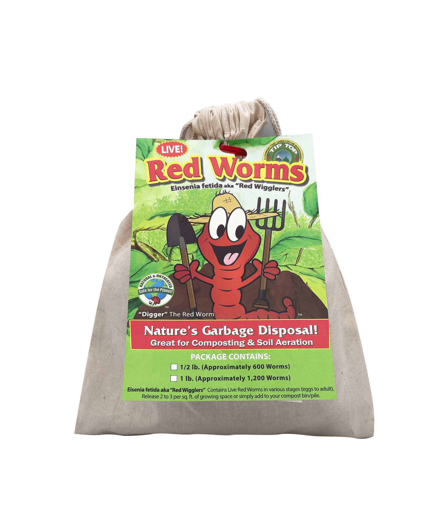 Composting Red "Wiggler" Worms