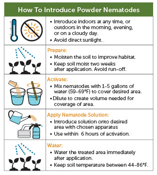 Flea & Soil Pest Exterminator - Sc Nematodes