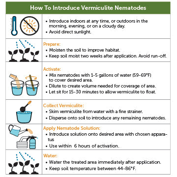 General Beneficial Nematodes - 10 Million Sf Nematodes in Retail Cup