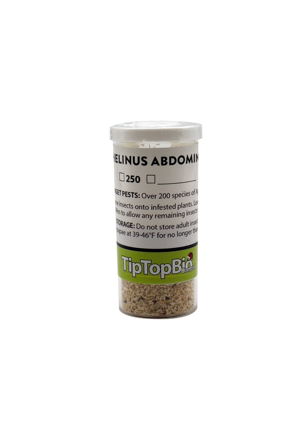 Aphelinus abdominalis - Aphid Control