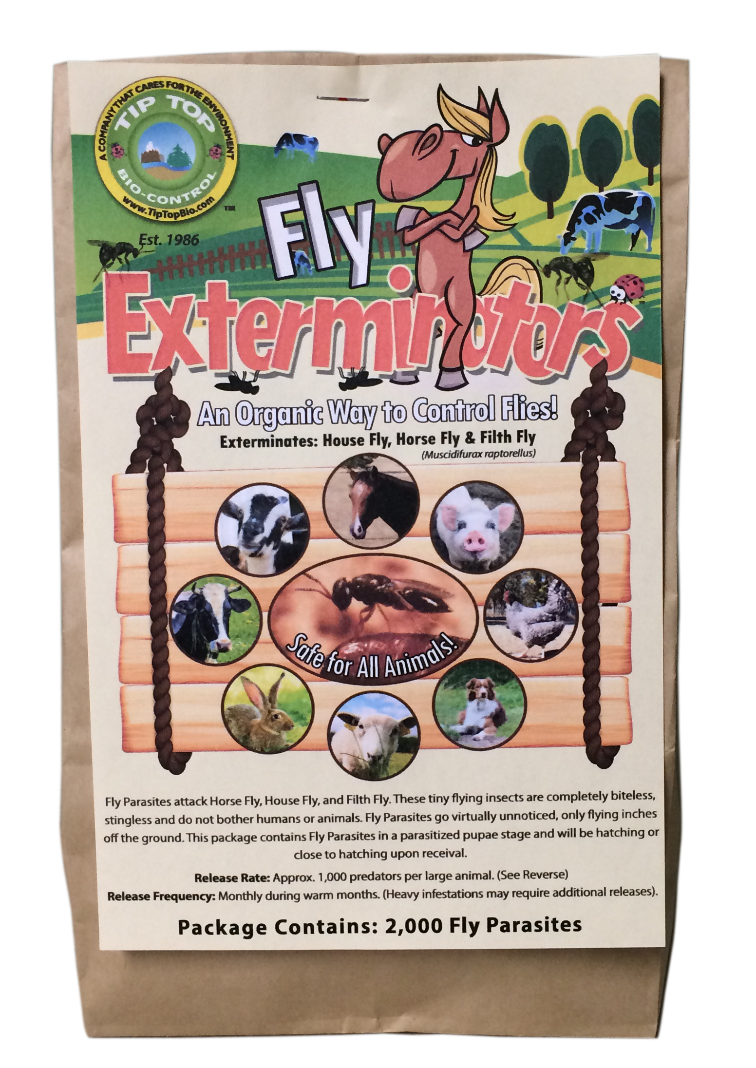 Fly Exterminators - Fly Control
