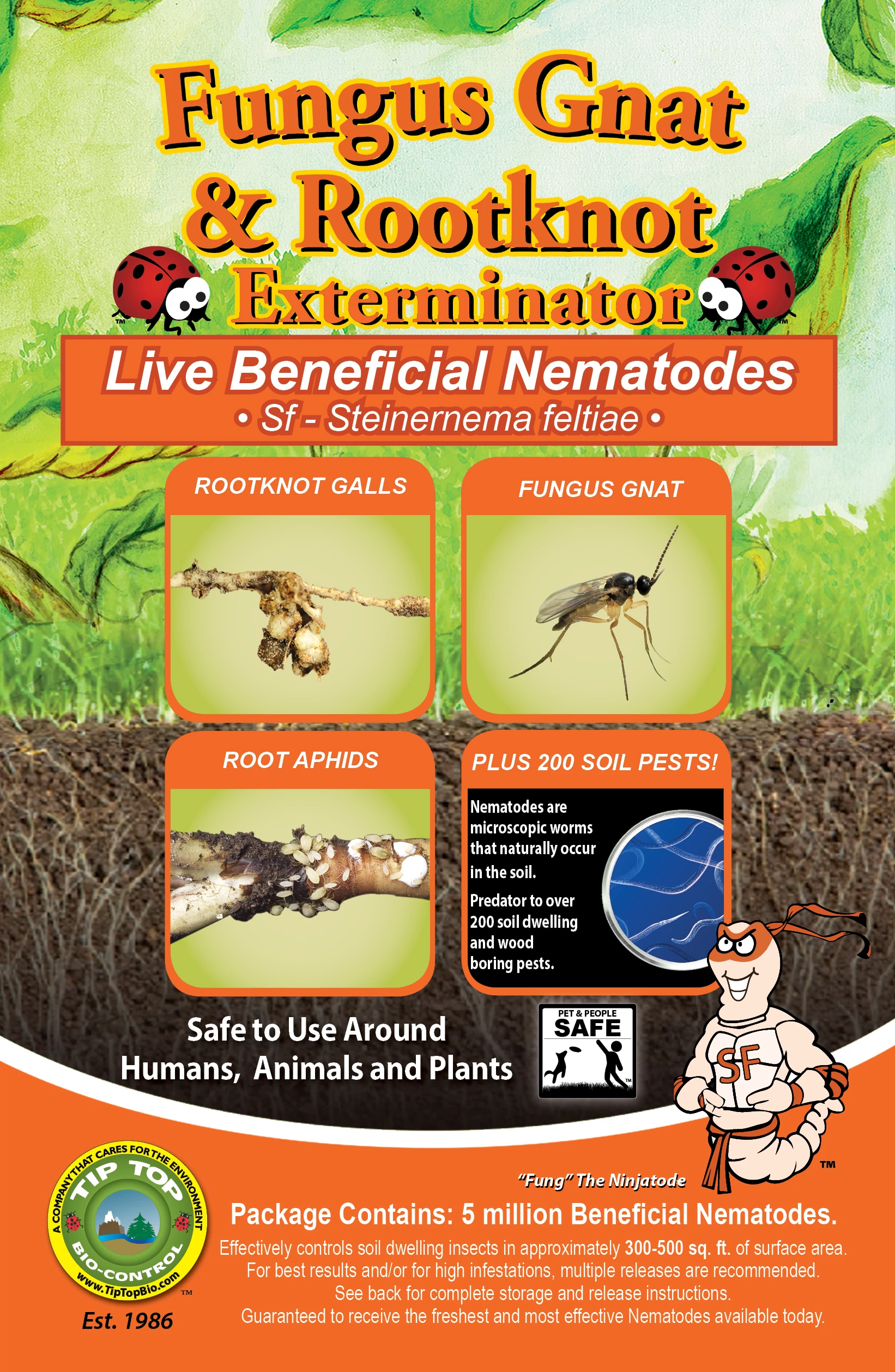 nematodes for fungus gnats indoor plants Fungus Gnat Exterminator