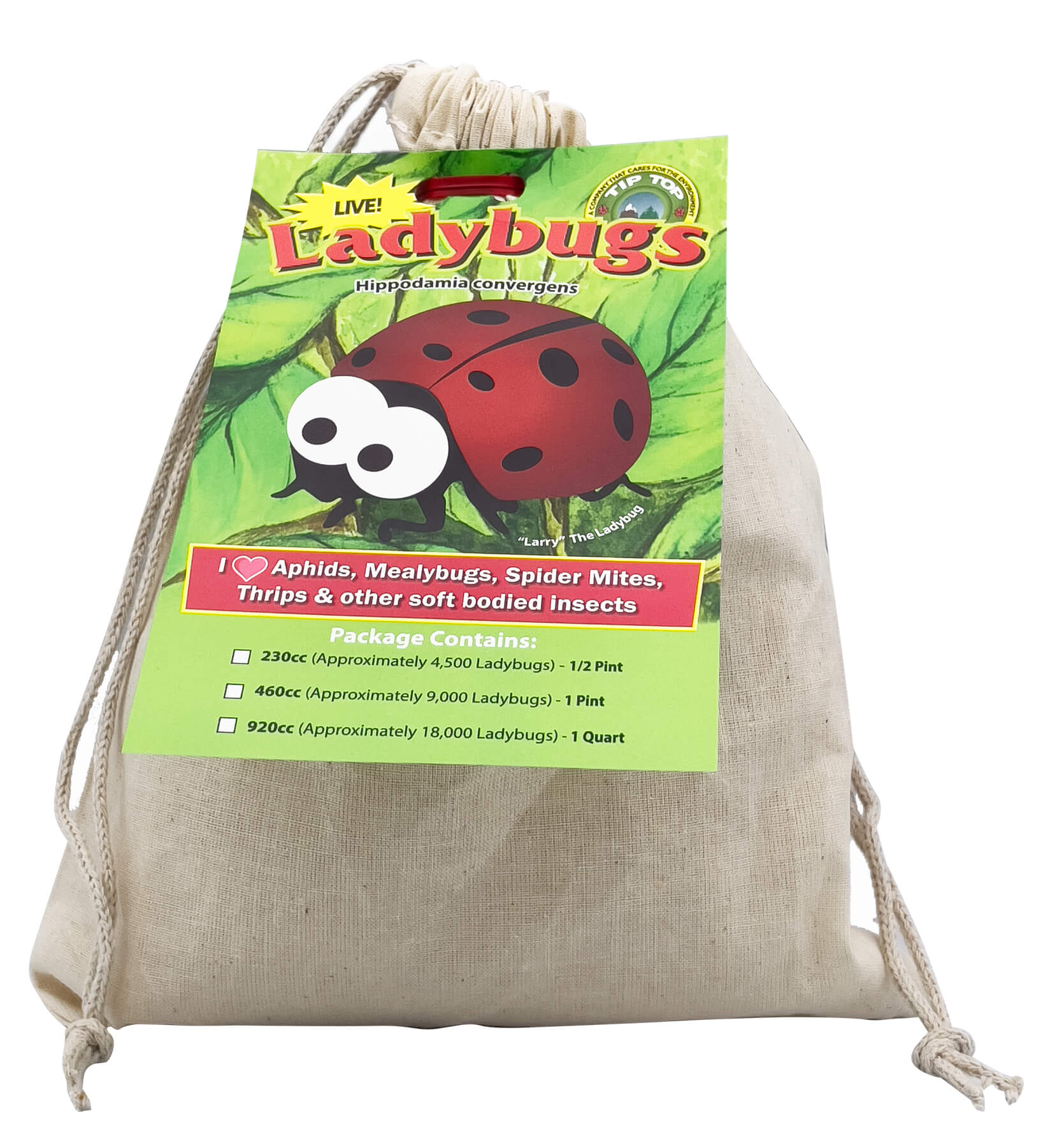 Pre-Fed Ladybugs