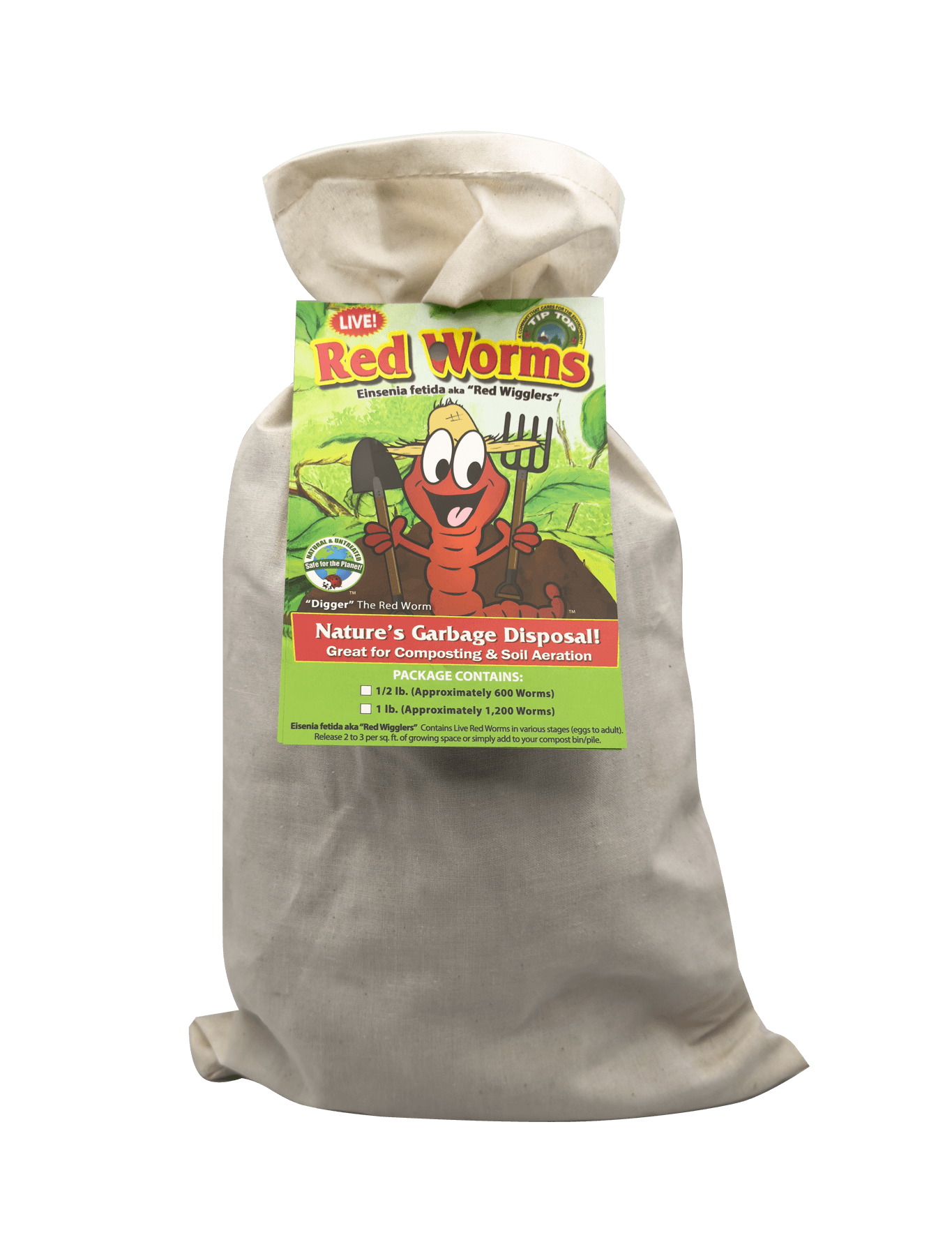 Composting Red "Wiggler" Worms