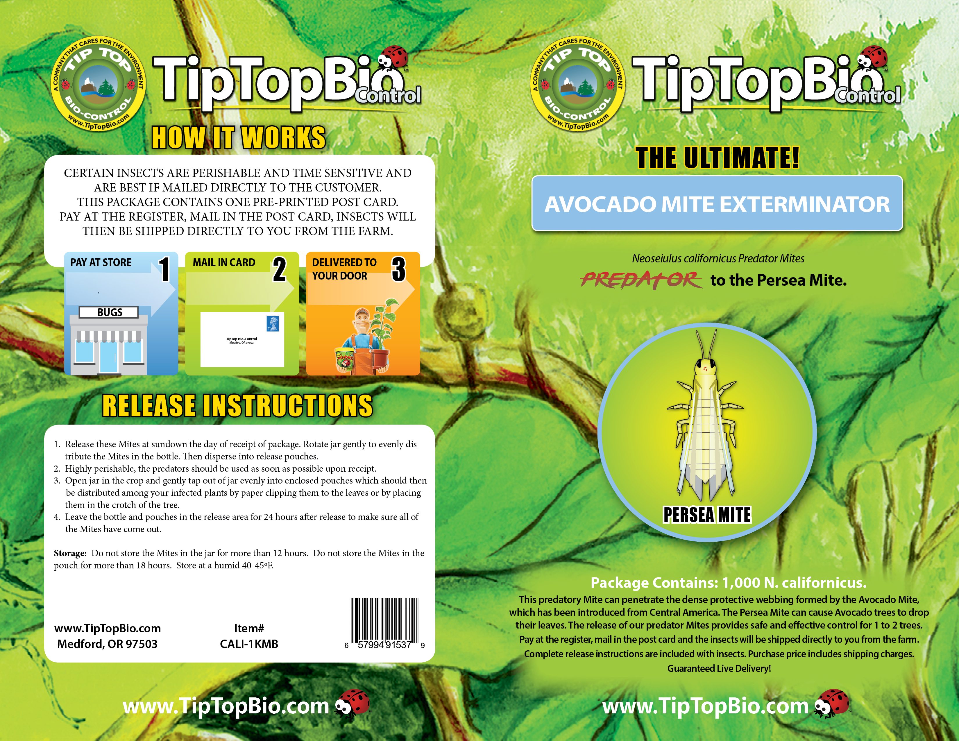 Neoseiulus (Amblyseius) californicus - Generalist, Tolerates High Heats