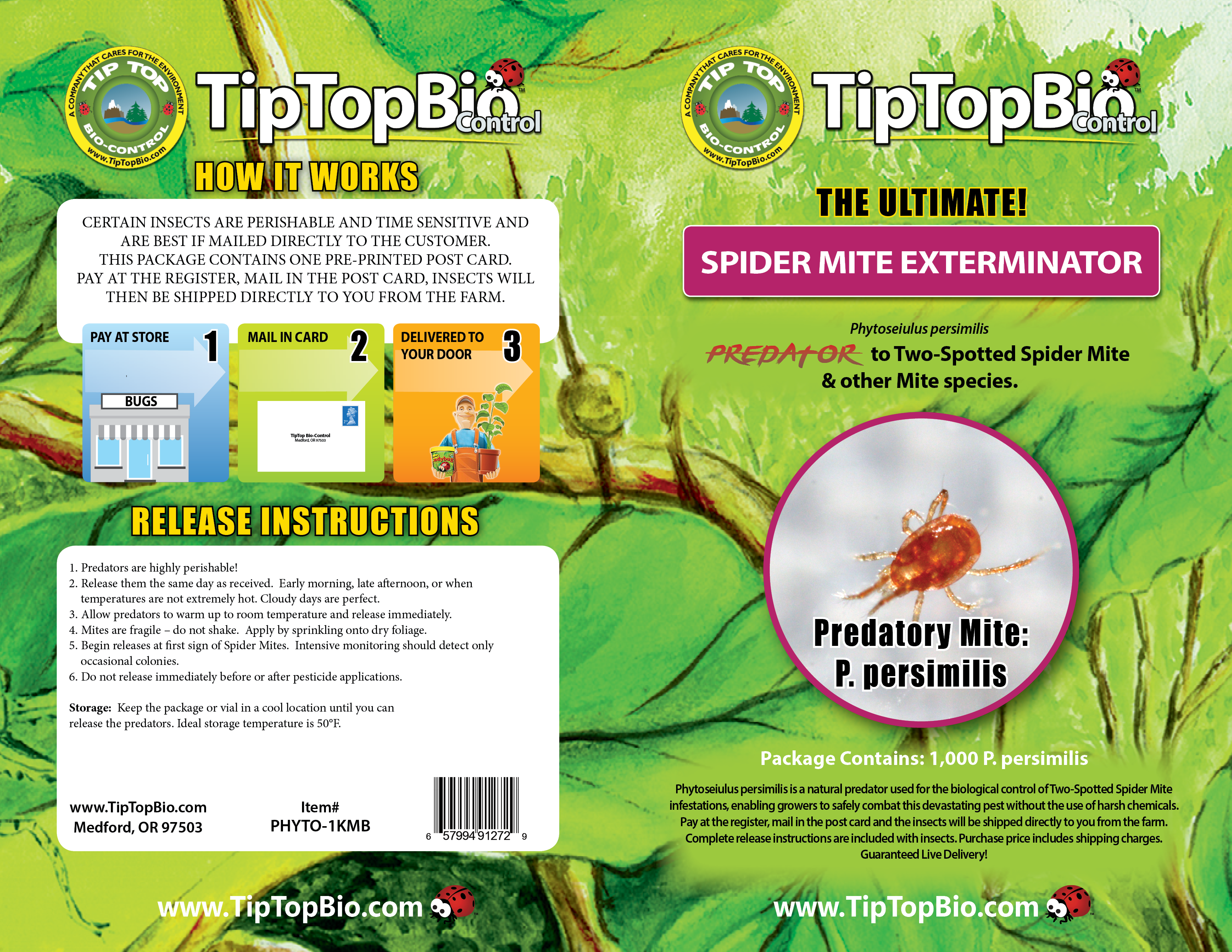 Phytoseiulus persimilis - Two Spotted Spider Mite Specialist!