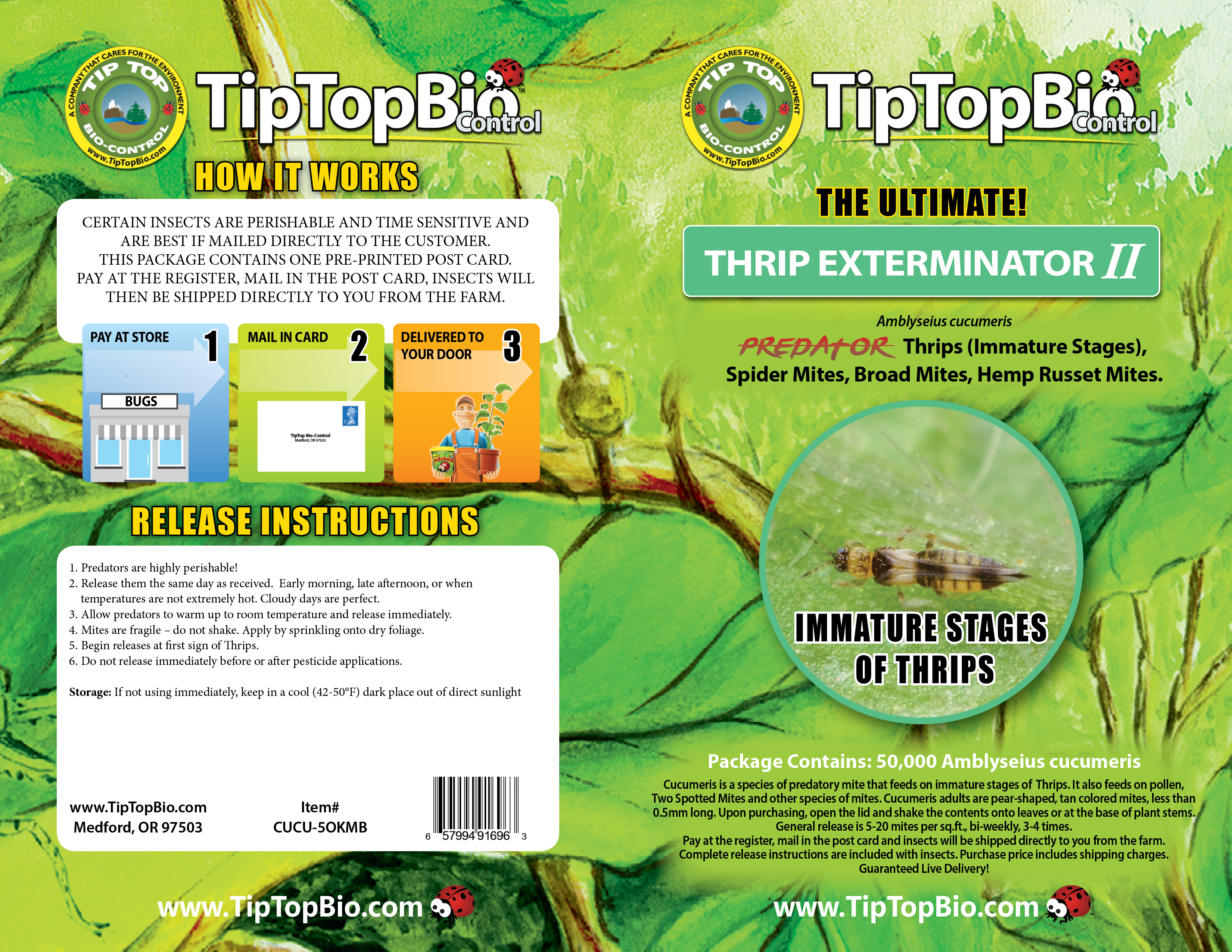 Amblyseius cucumeris - Thrip and Spider Mite Control