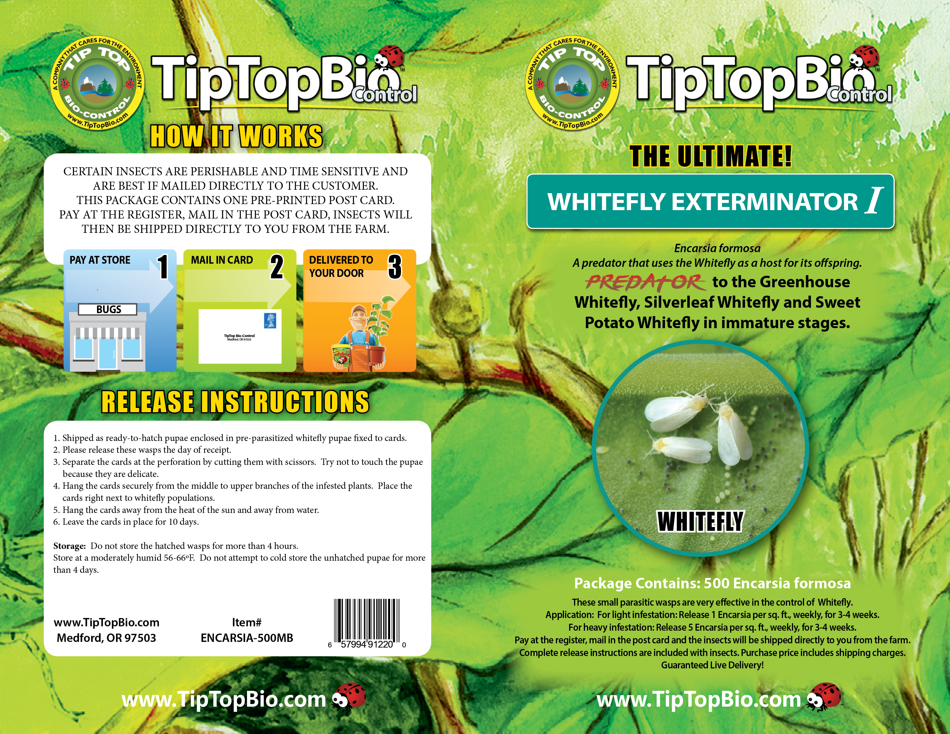 Encarsia formosa - Whitefly Control