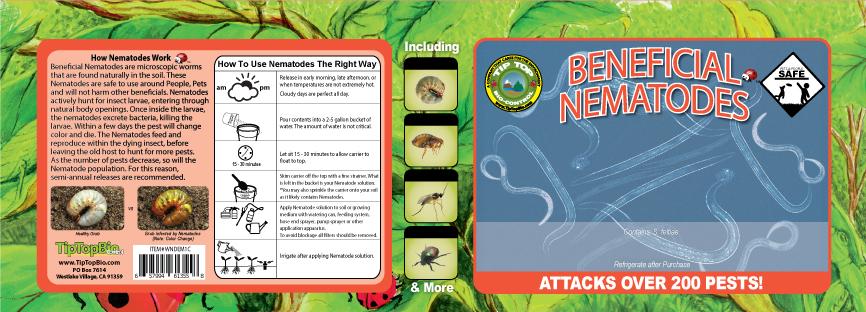 Beneficial Nematode Cup - Nematodes target over 200 different soil pests
