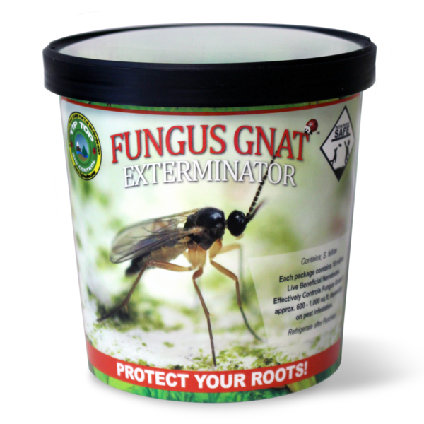 beneficial nematode fungus gnat control for indoor plants Fungus Gnat Exterminator