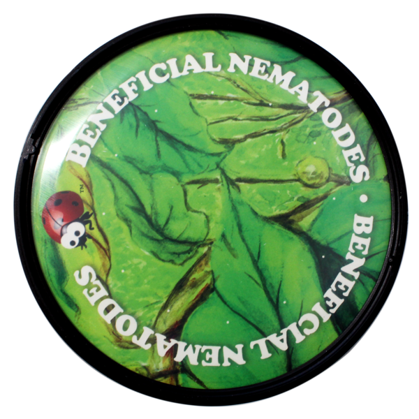 Beneficial Nematodes Flea Exterminator - Lid