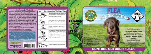 Beneficial Nematodes Flea Exterminator - Release Instructions