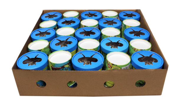 Praying Mantis - Cups Case