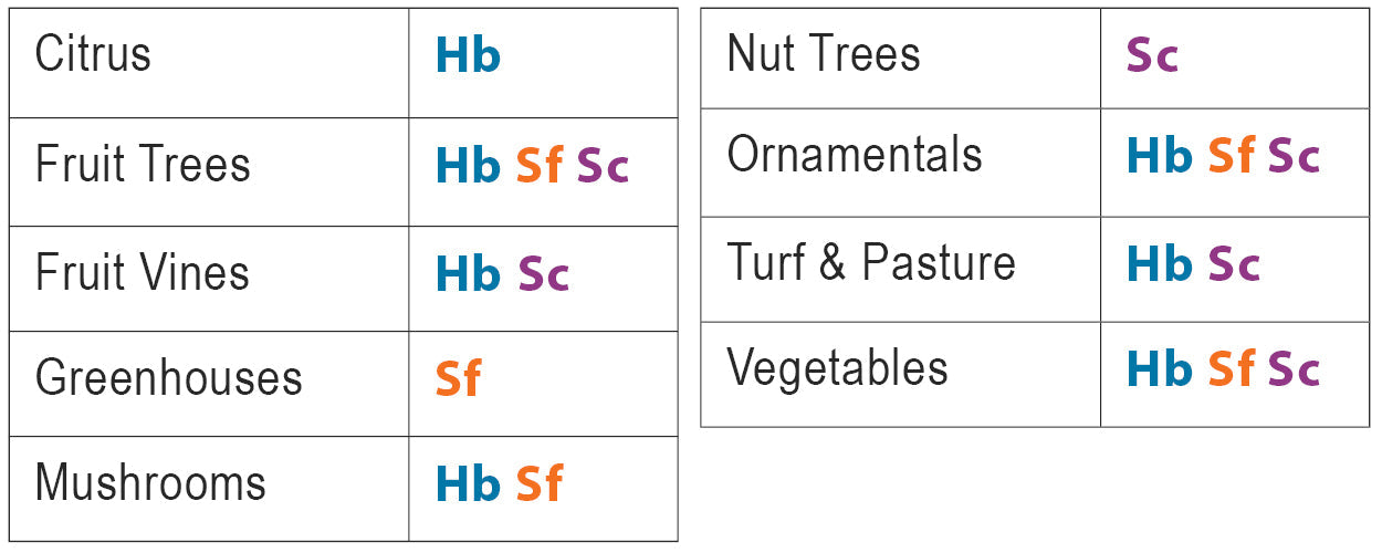 Fire Ant Exterminator - Sf Nematodes