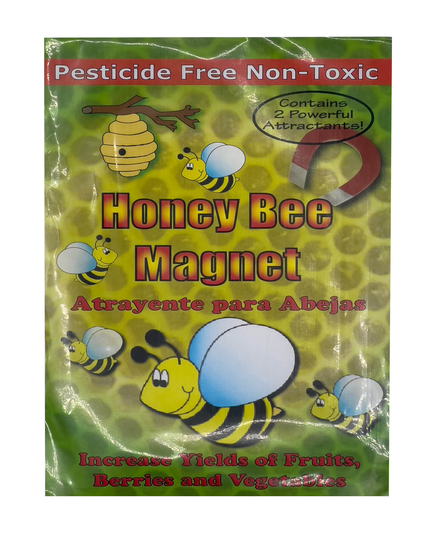 Honey Bee Magnet - 2 Pack