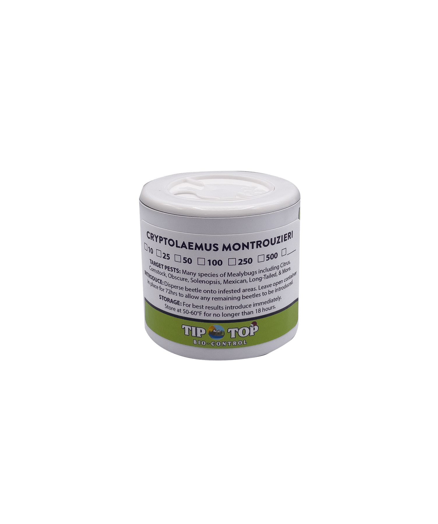 Cryptolaemus montrouzieri - Mealybug Control
