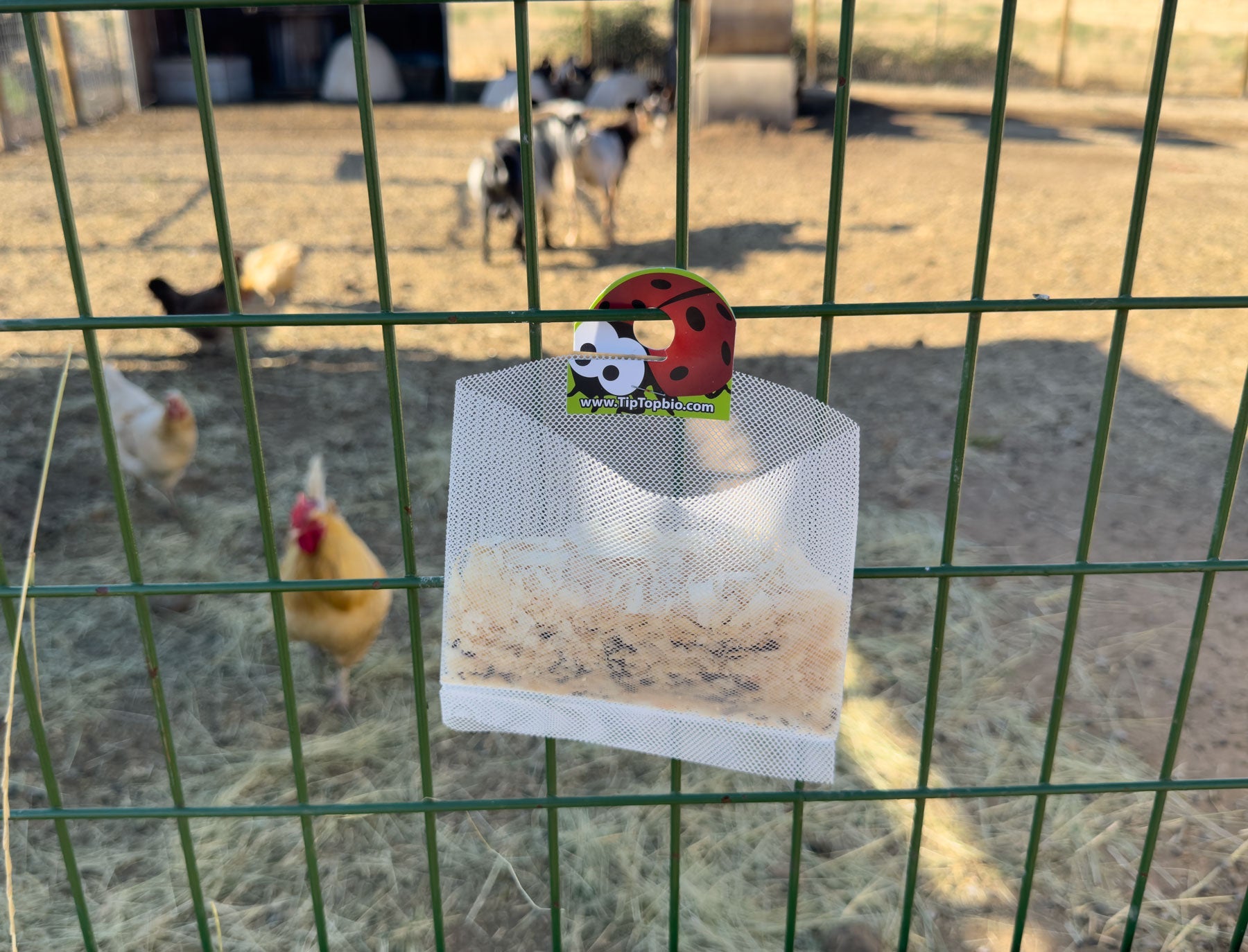 Fly Exterminator Release Bag