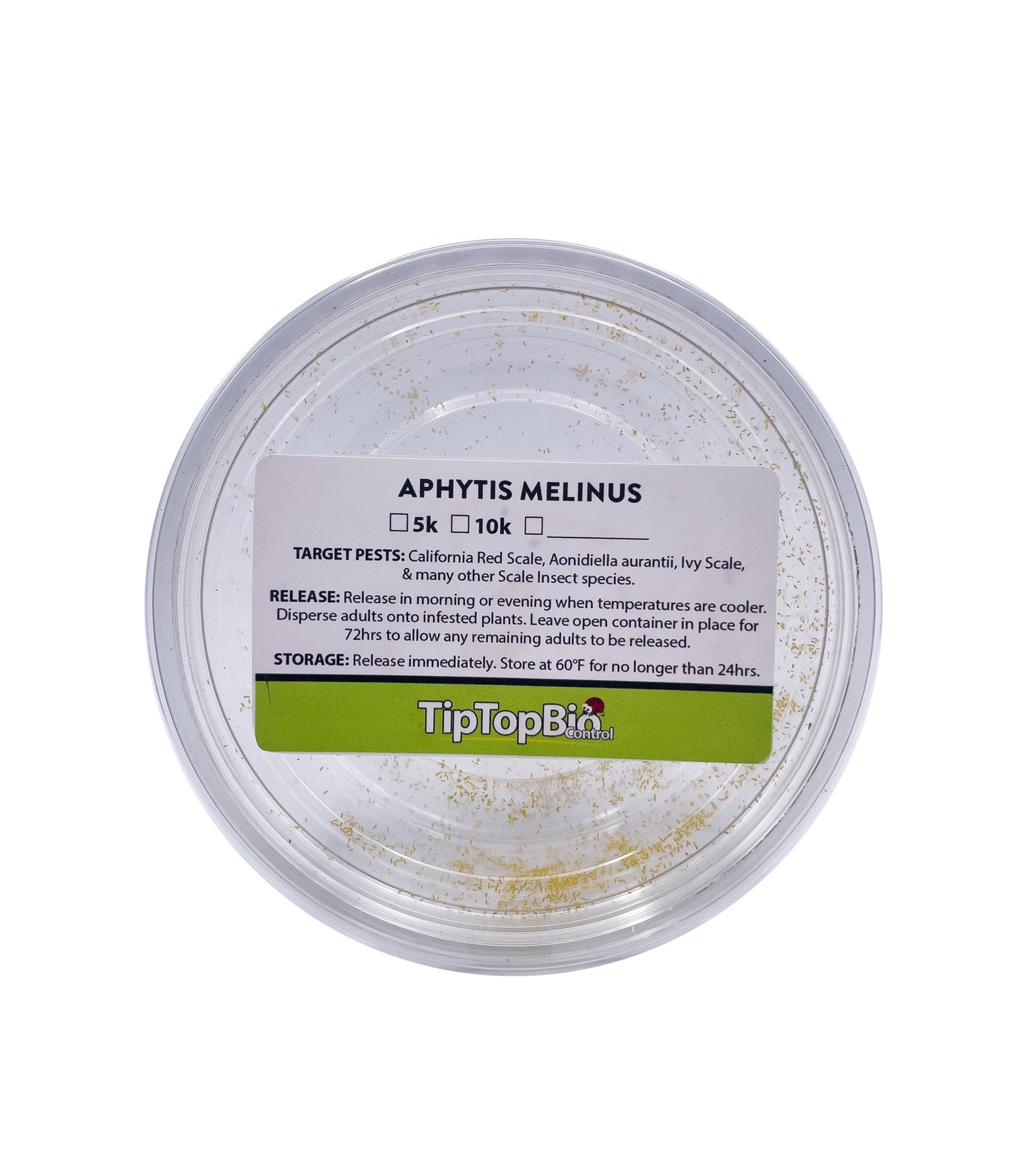 Aphytis melinus - Scale Control