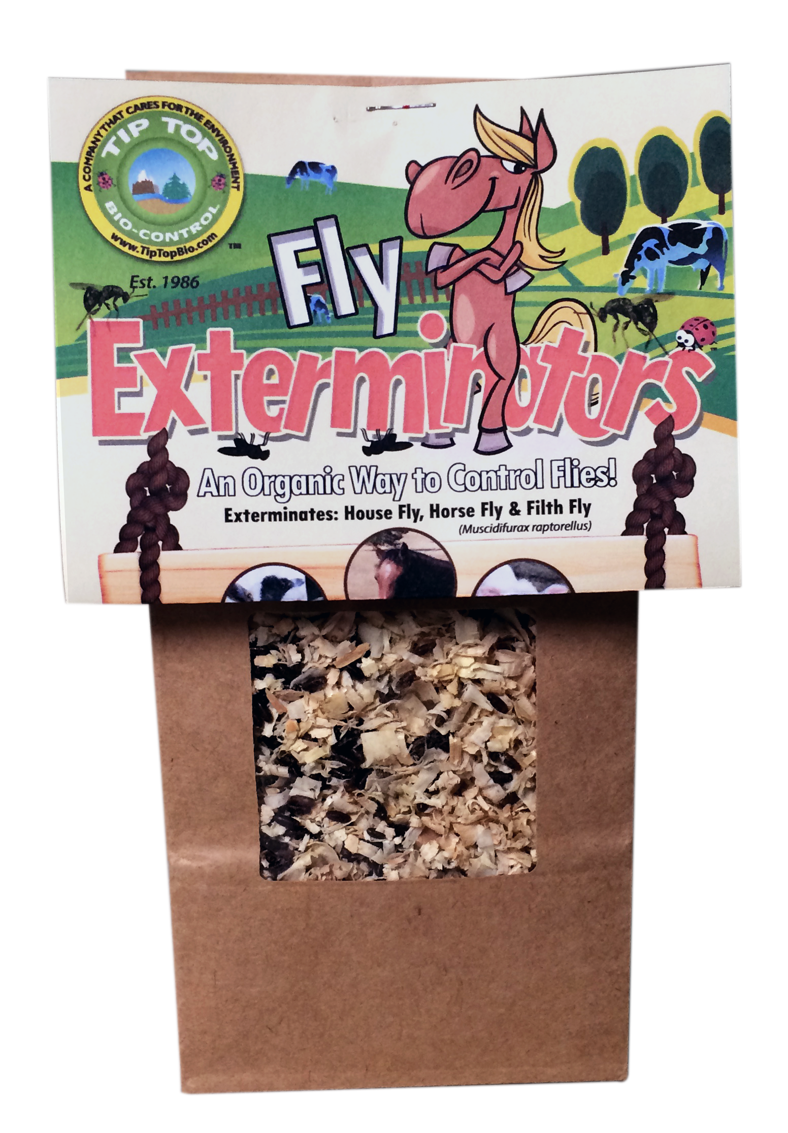 Fly Exterminators - Fly Control
