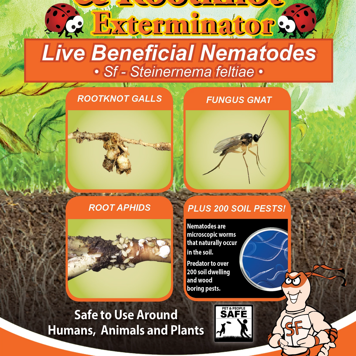 nematode steinernema feltiae for indoor plants Fungus Gnat Exterminator